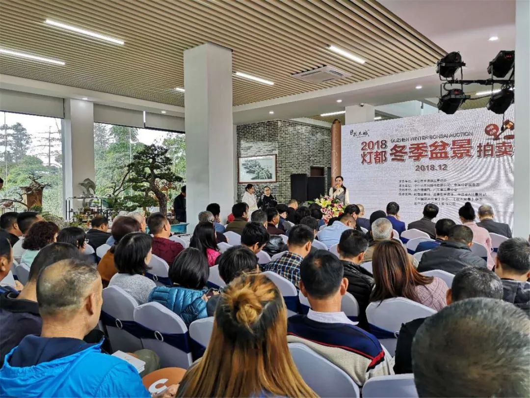 古镇这场拍卖会上大家为何频频举牌?原来……