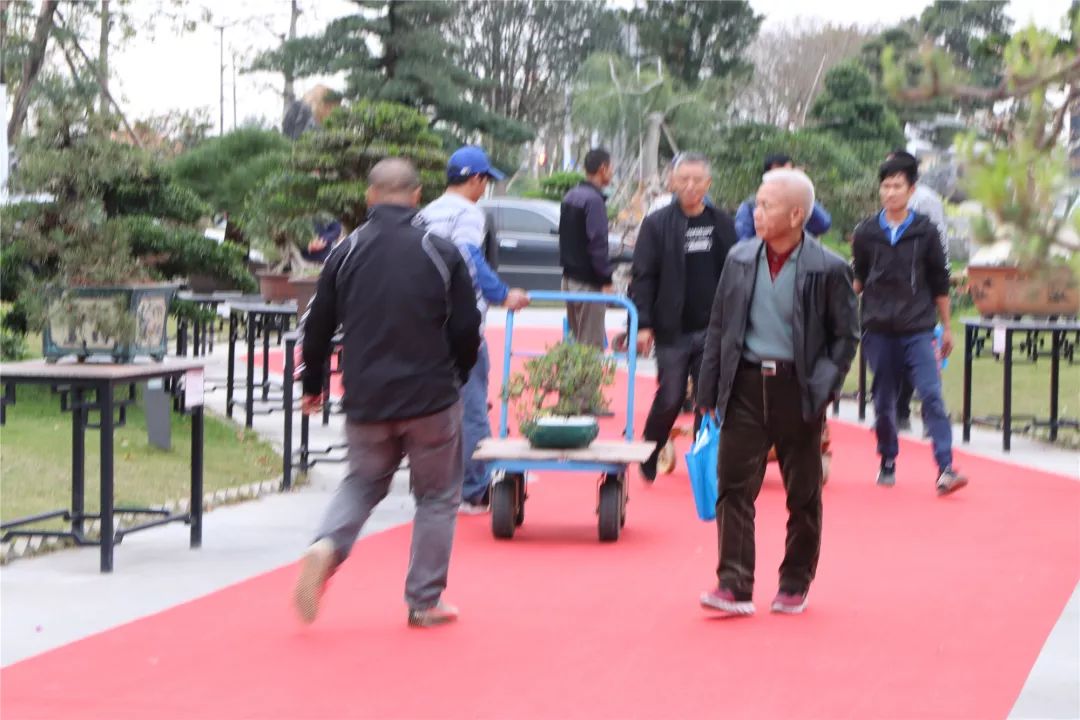 古镇这场拍卖会上大家为何频频举牌？原来……