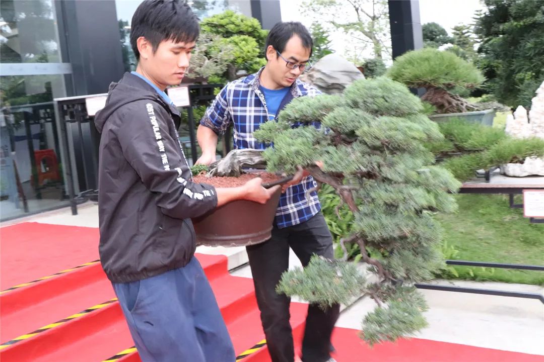 古镇这场拍卖会上大家为何频频举牌？原来……