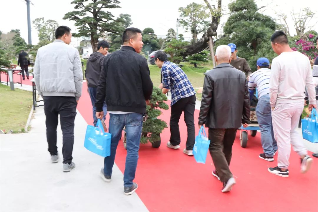 古镇这场拍卖会上大家为何频频举牌？原来……