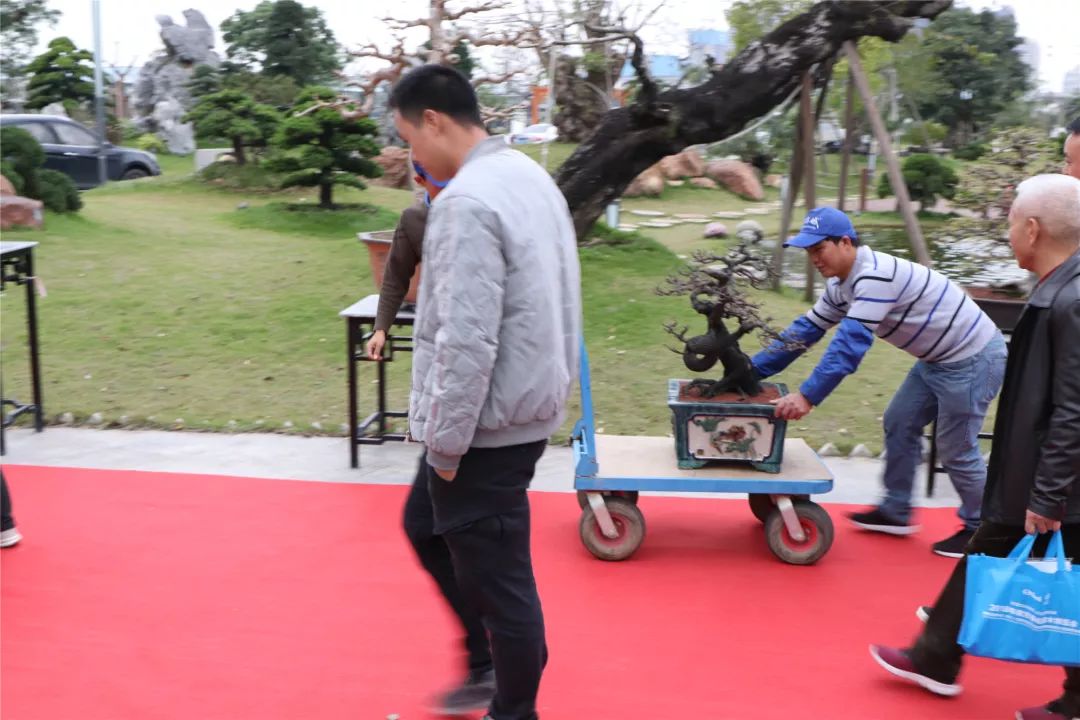 古镇这场拍卖会上大家为何频频举牌?原来……