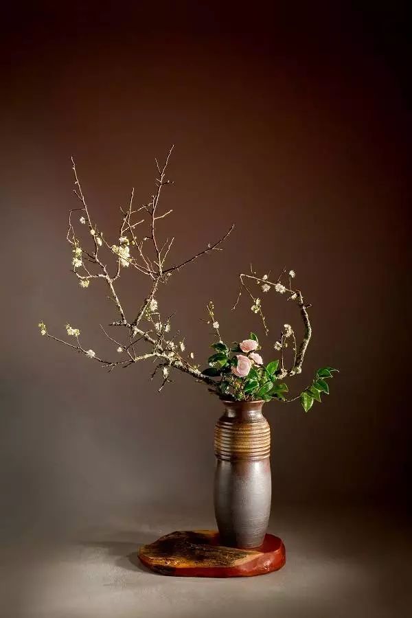 北碚静观蜡梅艺术节,北碚蜡梅节