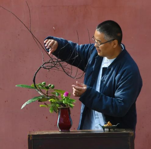 北碚静观蜡梅艺术节,北碚蜡梅节