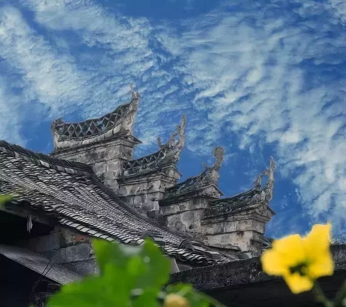 给2019加点新鲜料！老底子年味儿又翻红：品年菜、购年货、赶庙会……这座江南名城里年趣正无穷！