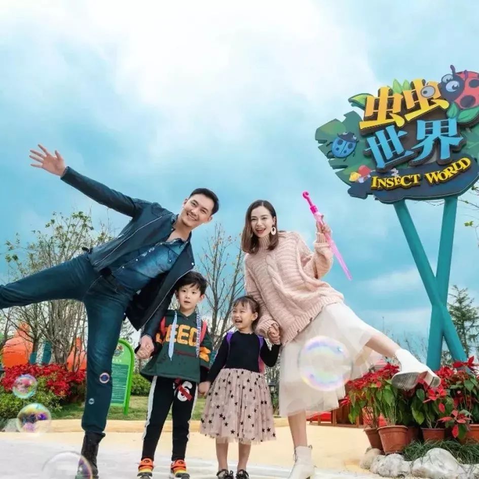 给2019加点新鲜料！老底子年味儿又翻红：品年菜、购年货、赶庙会……这座江南名城里年趣正无穷！