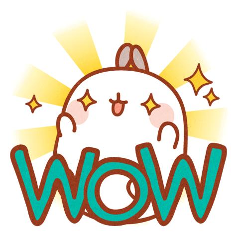 肇庆的球迷有福了!两大足球IP正式落户新区!