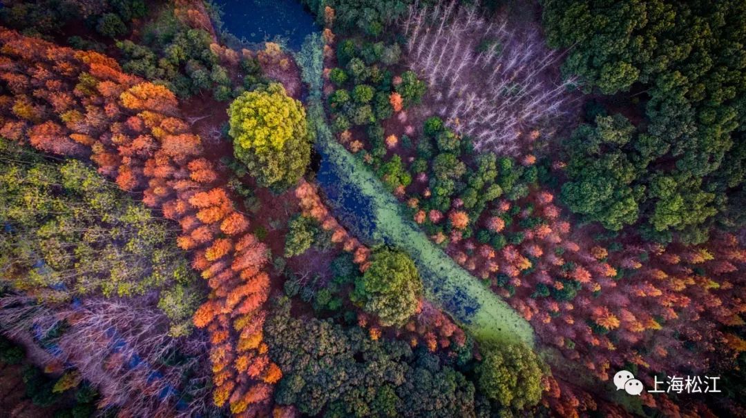 动迁安置房、工业园配套、大型绿地......你关心的问题车墩镇镇长这样回应