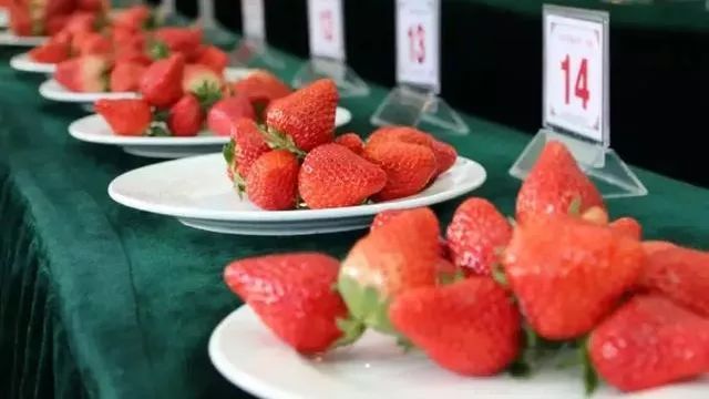 玩的地方推荐三天游,附近旅游攻略三天游