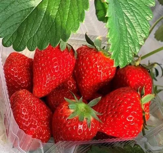 玩的地方推荐三天游,附近旅游攻略三天游