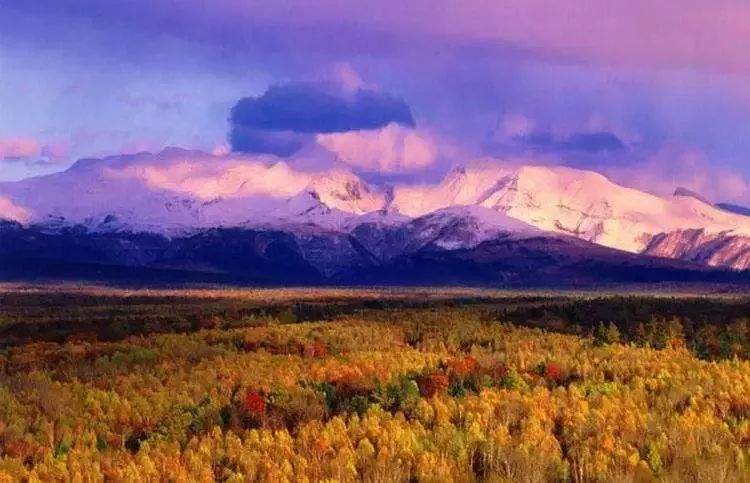 荆门必去10个景点,荆门旅游景点对浙江人员免费