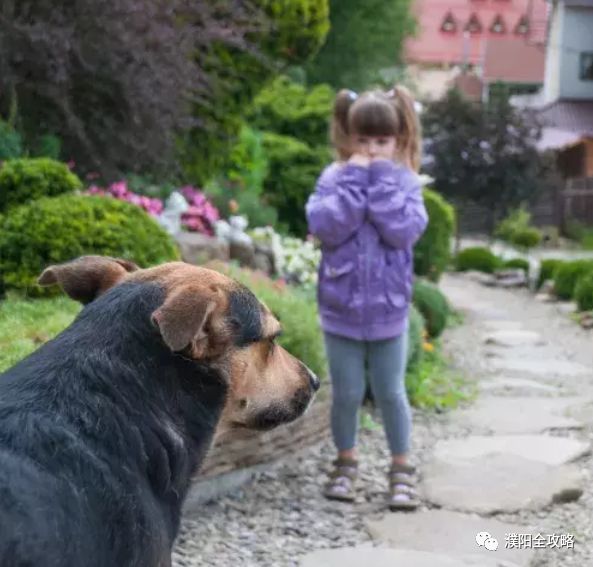 濮阳最近被曝光的小区,最新濮阳新闻报道小区