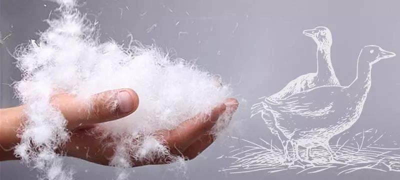 羽绒服选购全攻略,羽绒服怎么介绍有高级感