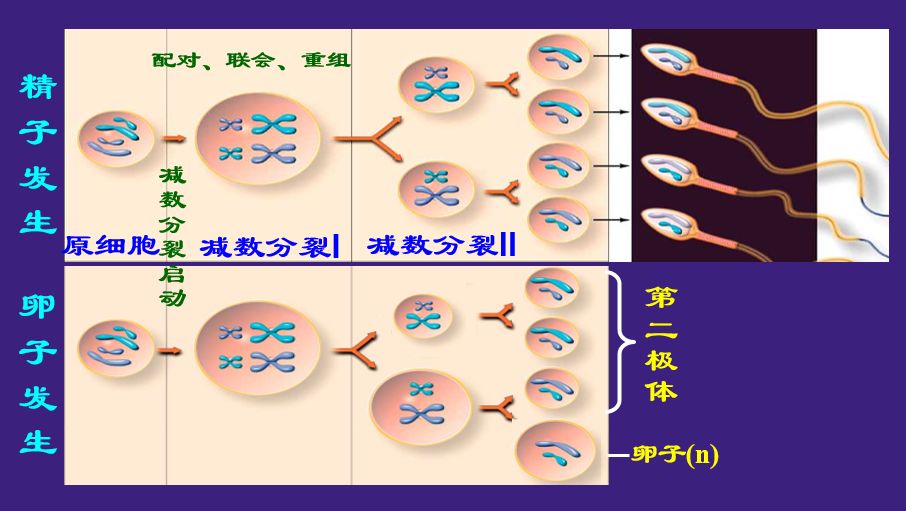 安徽省自然科学基金面上项目,国家自然科学基金安徽省2024年