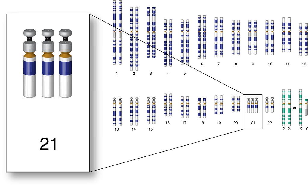 安徽省自然科学基金面上项目,国家自然科学基金安徽省2024年