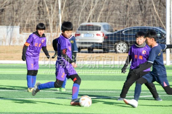 闃冲厜灏戝勾閫愭ⅵ璧涘満,闃冲厜灏戝勾鑱氳禌鍦烘縺鎯呴鎵睍椋庨噰