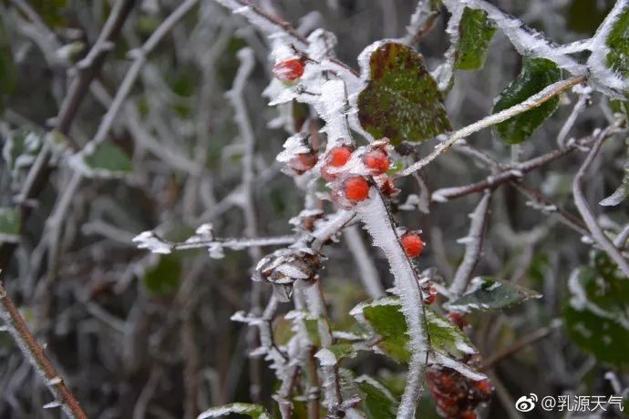 广东下雪之旅,广东下雪是什么体验