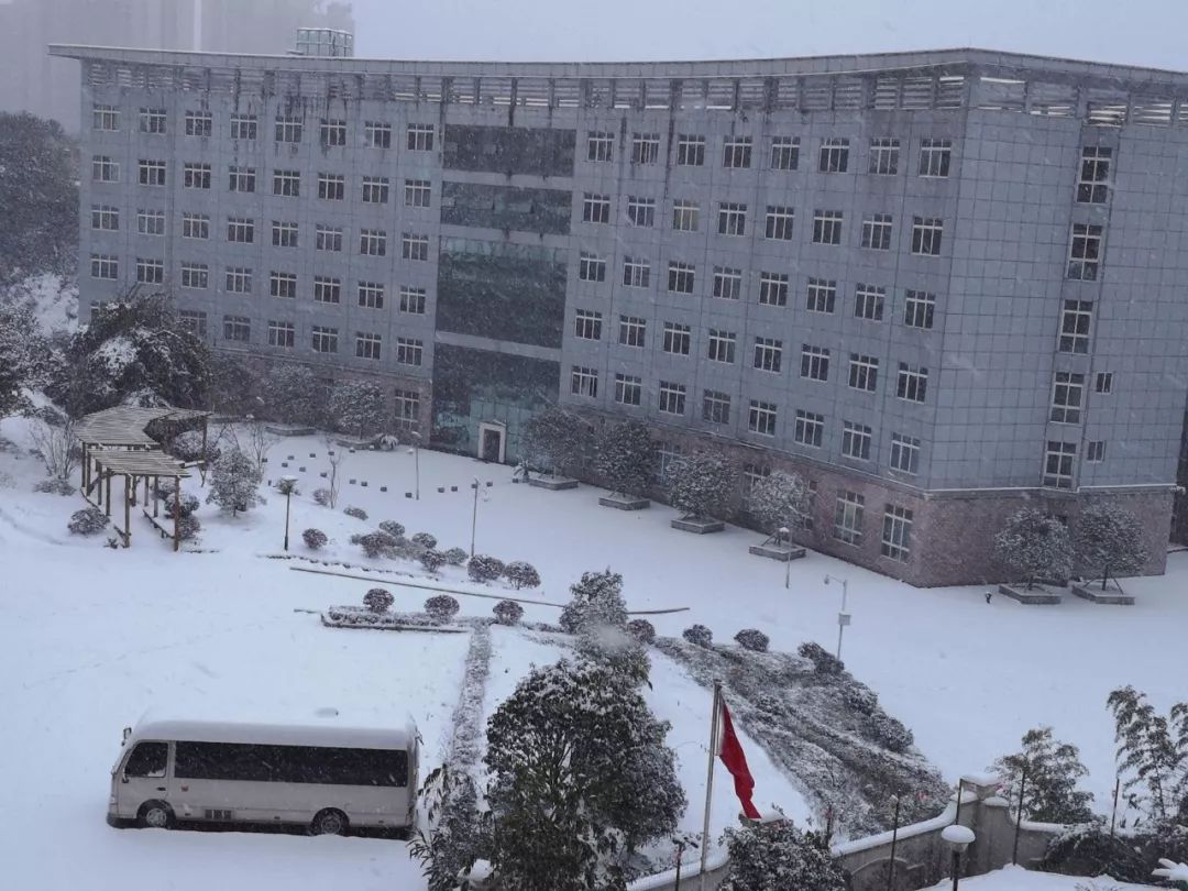 广东下雪之旅,广东下雪是什么体验