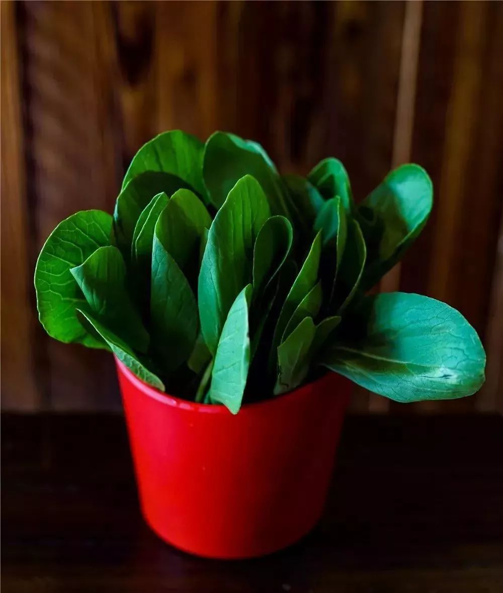 太过分！安溪这家串串店周年庆折扣搞得太大了！不要白不要……