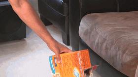 卫生间异味难闻怎么清除,卫生间异味太难闻教你几招除异味