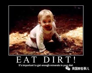 澳洲科学家如何减肥,澳洲科学家发明神药