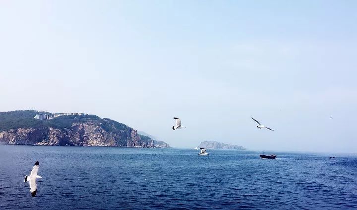 我们用信心与毅力去战胜“难以想象的惊涛骇浪”丨宣讲家网评论