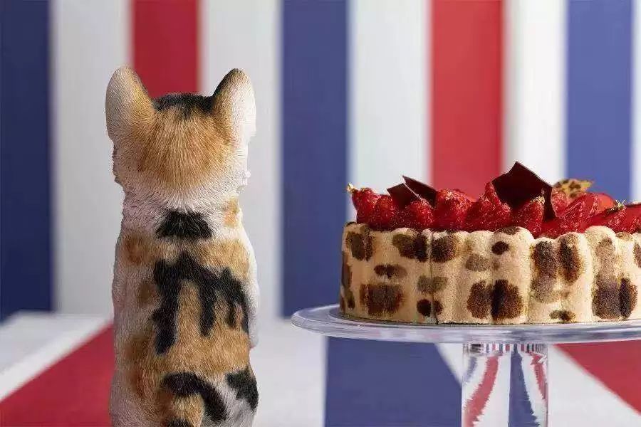 草莓黄心病最新治疗方案,草莓过敏症状怎么治