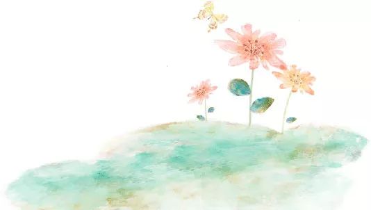 外媒报道中国人救助鸭子,外媒报道鸭子抗蝗虫