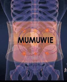 暖宫磁疗内裤女,暖宫裤石墨烯女士五分裤