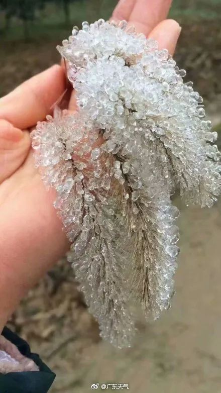 广东下雪之旅,广东下雪是什么体验