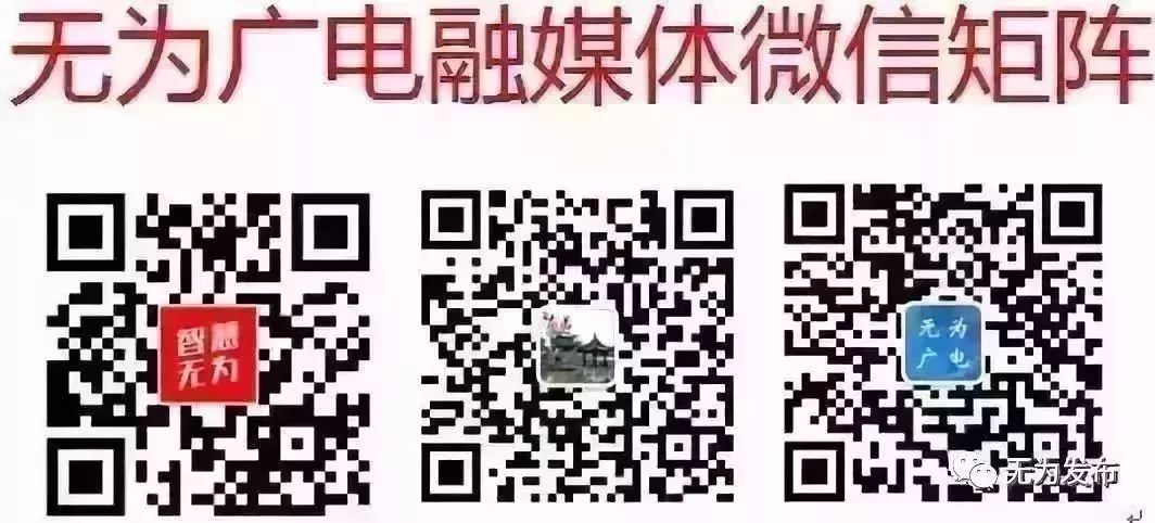 无为籍企业家,无为籍优秀企业家