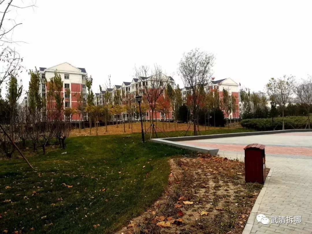武清城区这个小区的业主有福了，这件事要投资近100万！