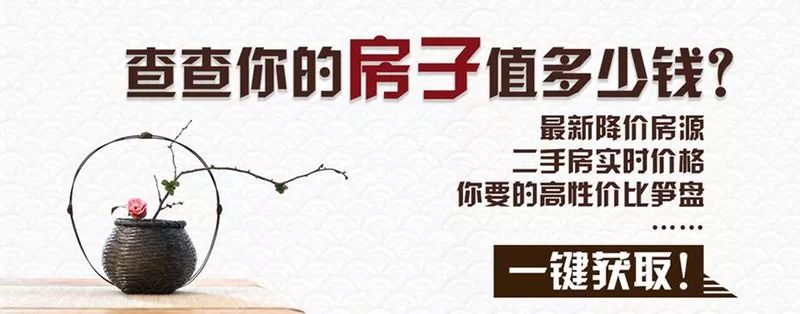 电影廉政风云票房,廉政风云贺年片