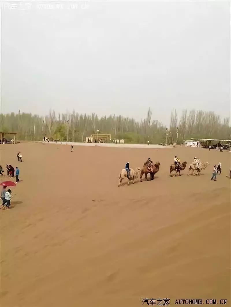 2018,见证（3）｜啥？2018又有辣么多影视有鄯善的影子