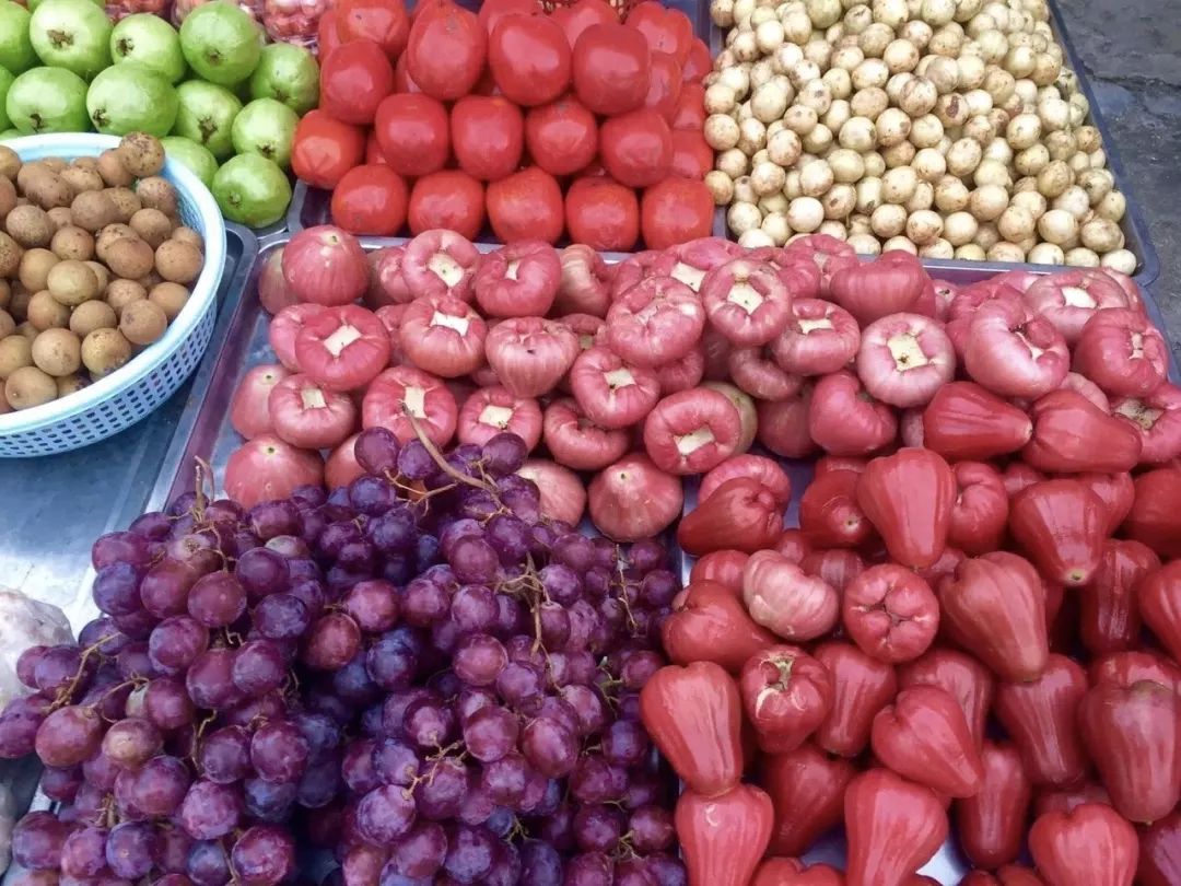 为什么我们总是不能好好相处,为什么我们都选择出国