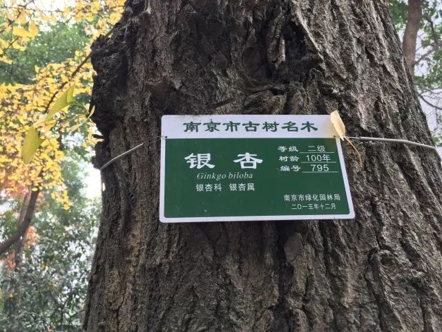 南京下关十二中初中部,下关十二中怎么样