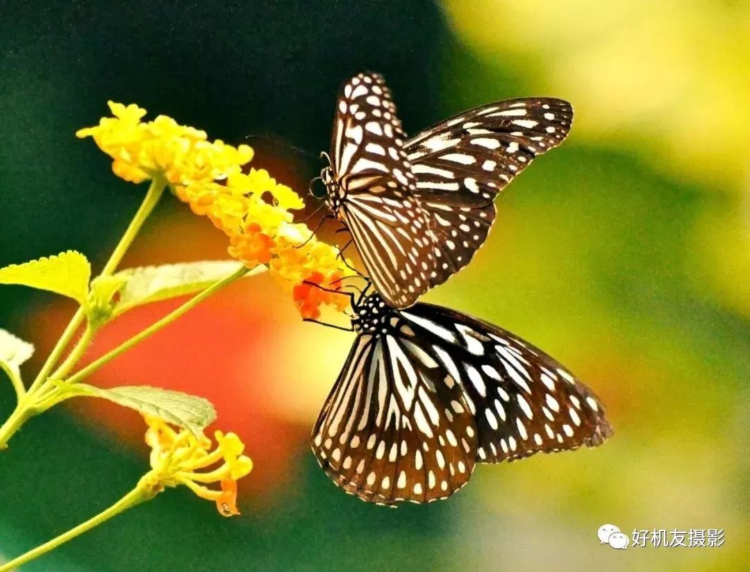 摄影器材初学者教程,摄影新手如何选择器材