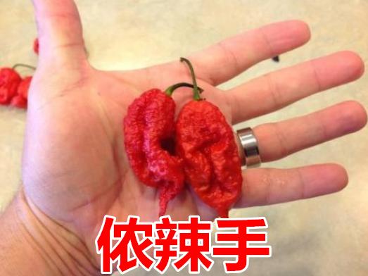 2019年代购,2019年的第一天