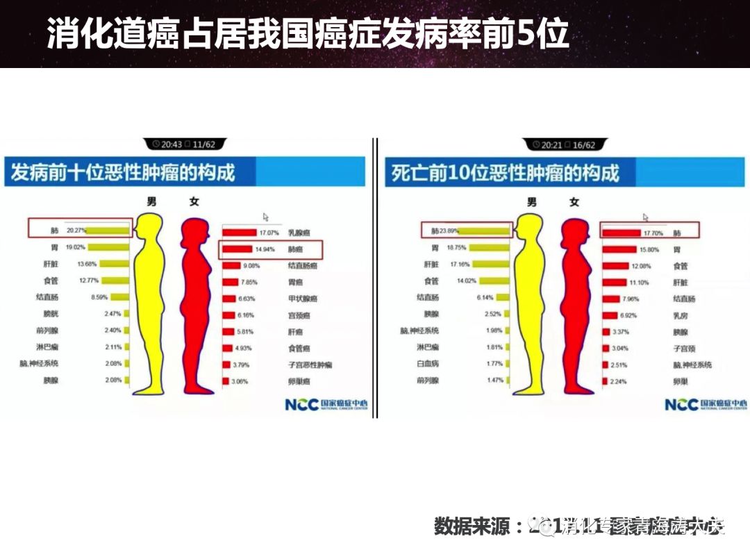 gastroenterology什么意思,gastroenterology是什么意思