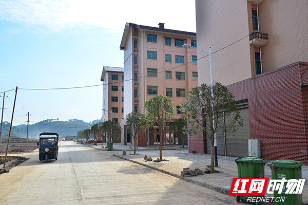 武冈市大甸镇：惠民举措落实民生改善当先