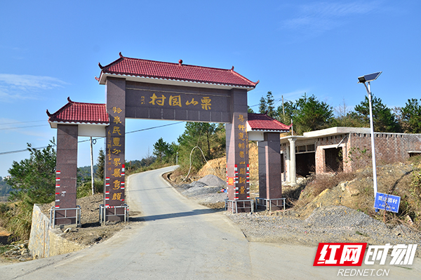 武冈市大甸镇：惠民举措落实民生改善当先