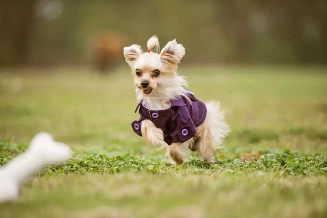 2019,日出,新生这一年想快人一步,在常州一定要关注这些新变化