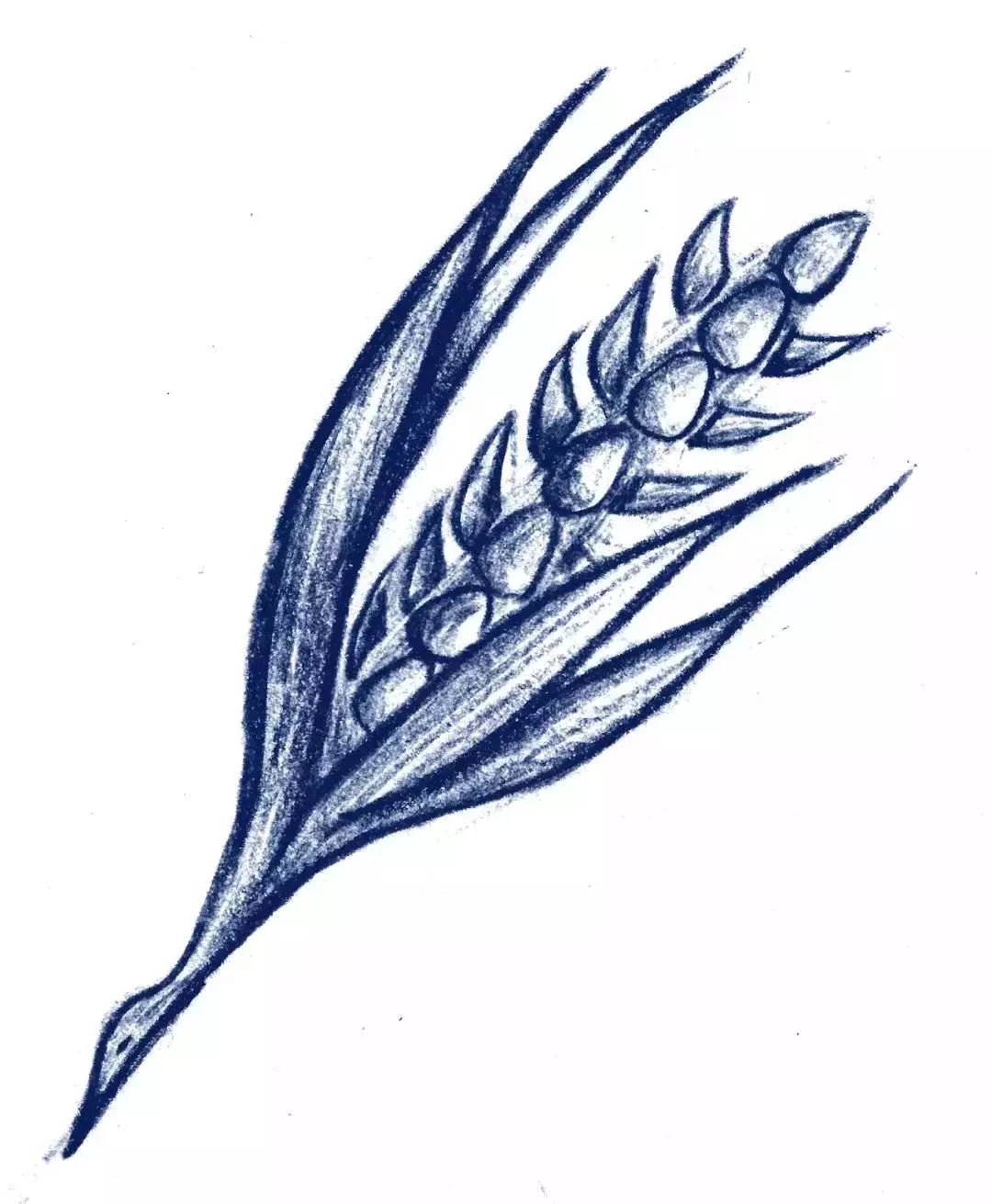 小s痛哭道歉视频,小s哭泣直播