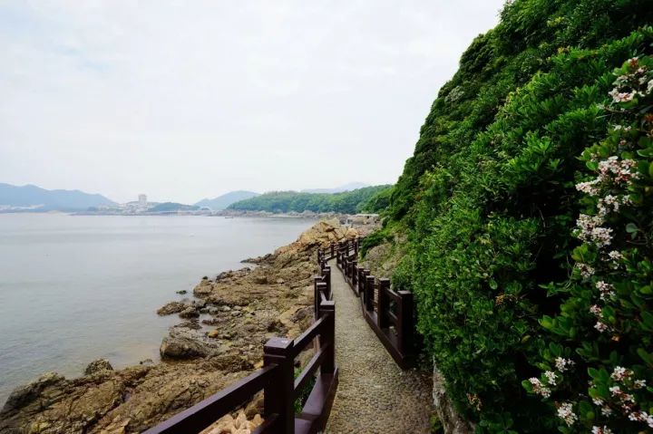 希尔顿度假酒店2599元客房2晚,希尔顿6天5晚游价格表