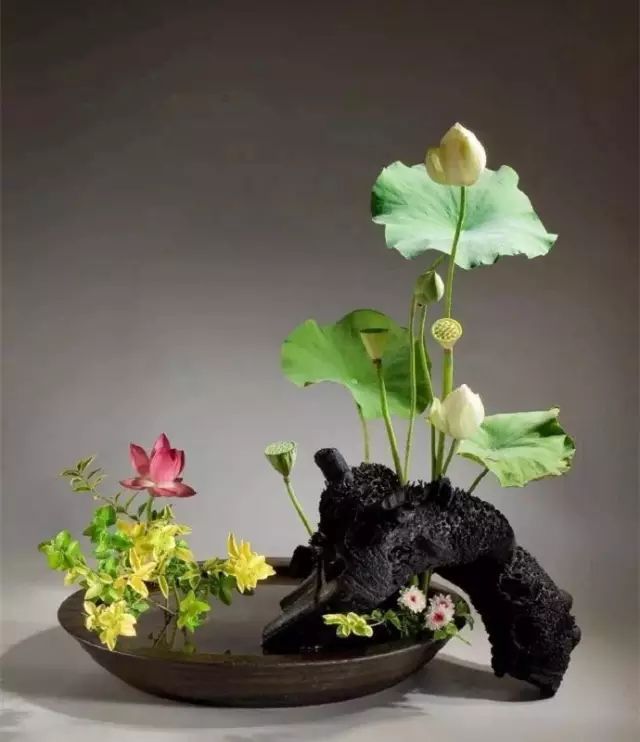 二十四史经典语录100个,100句古今绝美句子