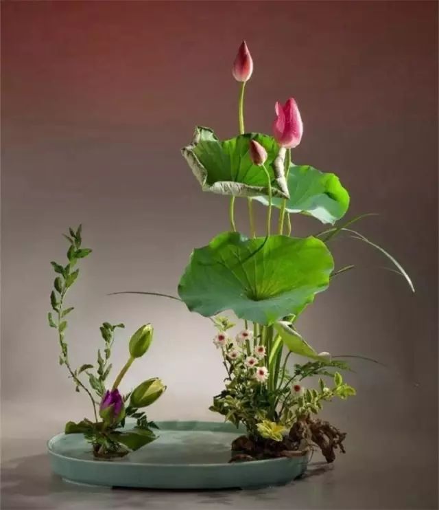 二十四史经典语录100个,100句古今绝美句子