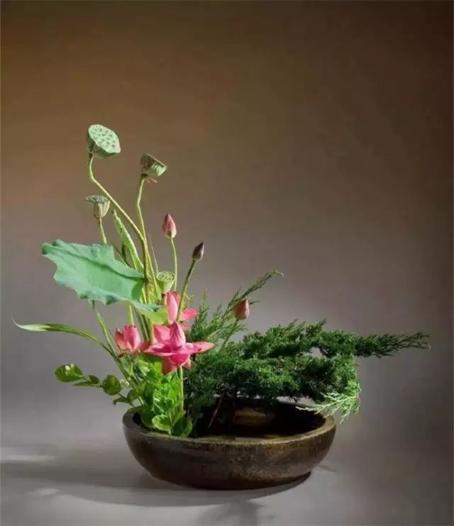 二十四史经典语录100个,100句古今绝美句子