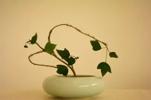 二十四史经典语录100个,100句古今绝美句子