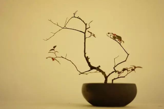 二十四史经典语录100个,100句古今绝美句子