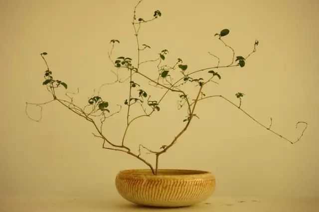 二十四史经典语录100个,100句古今绝美句子