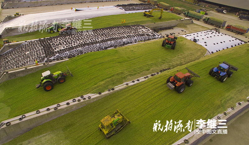 农村土地经营模式改革探讨,深化农村土地改革的政策与策略